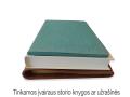 [ Prisitaikancio storio uzrasine