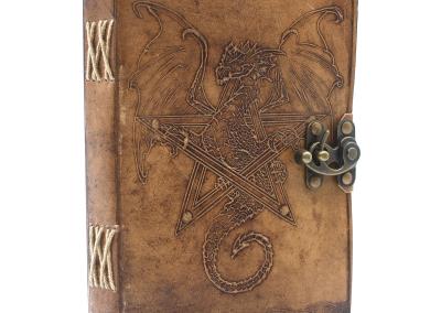Odinė užrašinė – Dragon Notebook (20x15 cm)