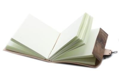 Odinė užrašinė – Dragon Notebook (20x15 cm)
