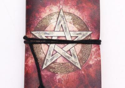 Odinė užrašinė – Assorted Gothic Notebooks 7x10cm (display pack)