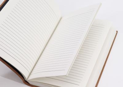 Odinė užrašinė – Lrg Dark Tan Daily Notebook - 20x15cm