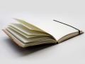 Odinė užrašinė – Medium Notebook with strap - Palmistry