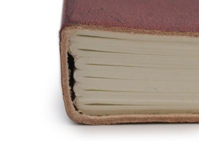 Odinė užrašinė – Medium Notebook with strap - Palmistry