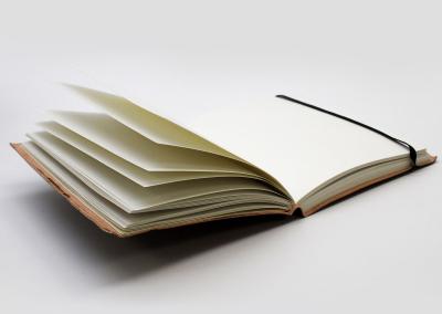 Odinė užrašinė – Medium Notebook with strap - Tree of Life