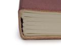 Odinė užrašinė – Medium Notebook with strap - Tree of Life